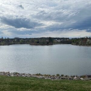 Meet your Posher, Ava